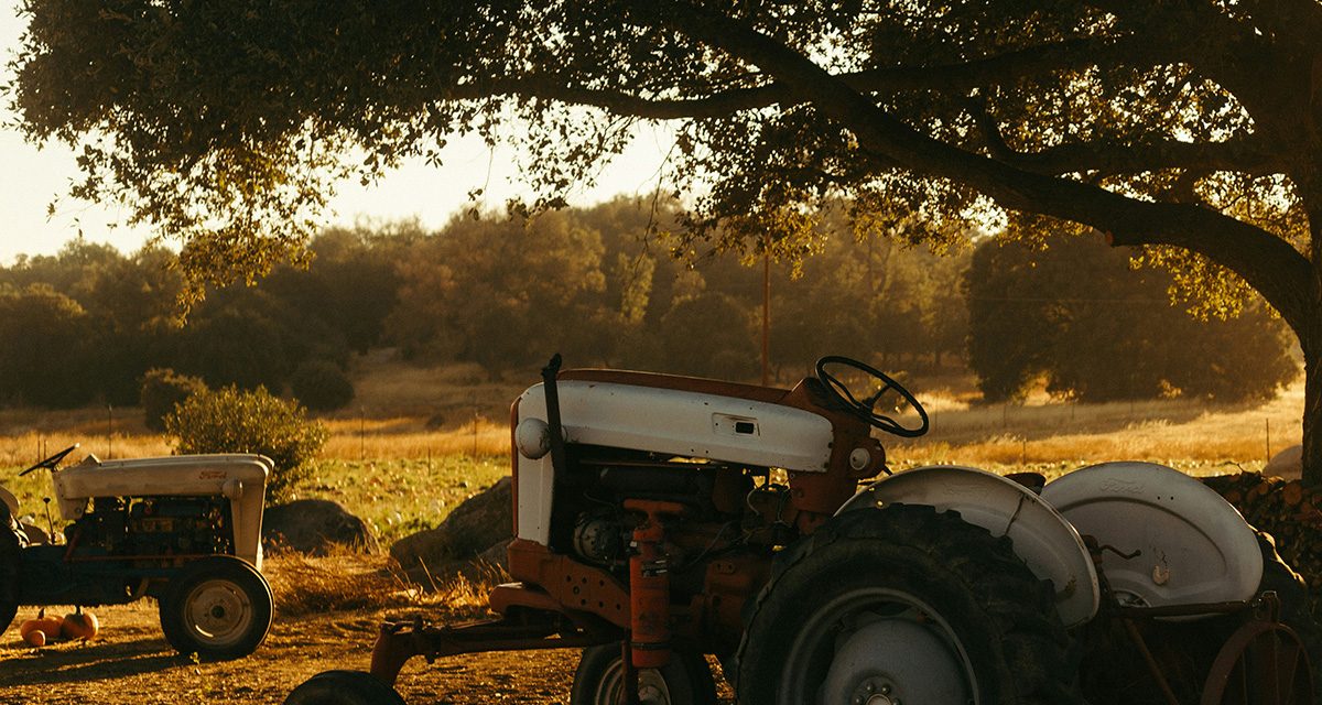 The Ultimate Guide to Julian, CA Real Estate in 2025